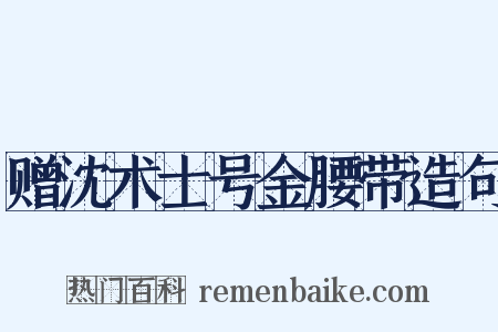 赠沈术士号金腰带造句是什么意思的图片
